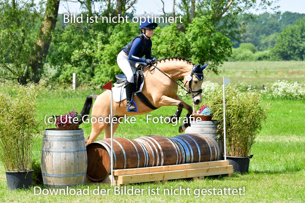 Goldene Schärpe Ponys in Löningen  4+5.6.22 | 04062022 - Gelände  2 Abt _117 