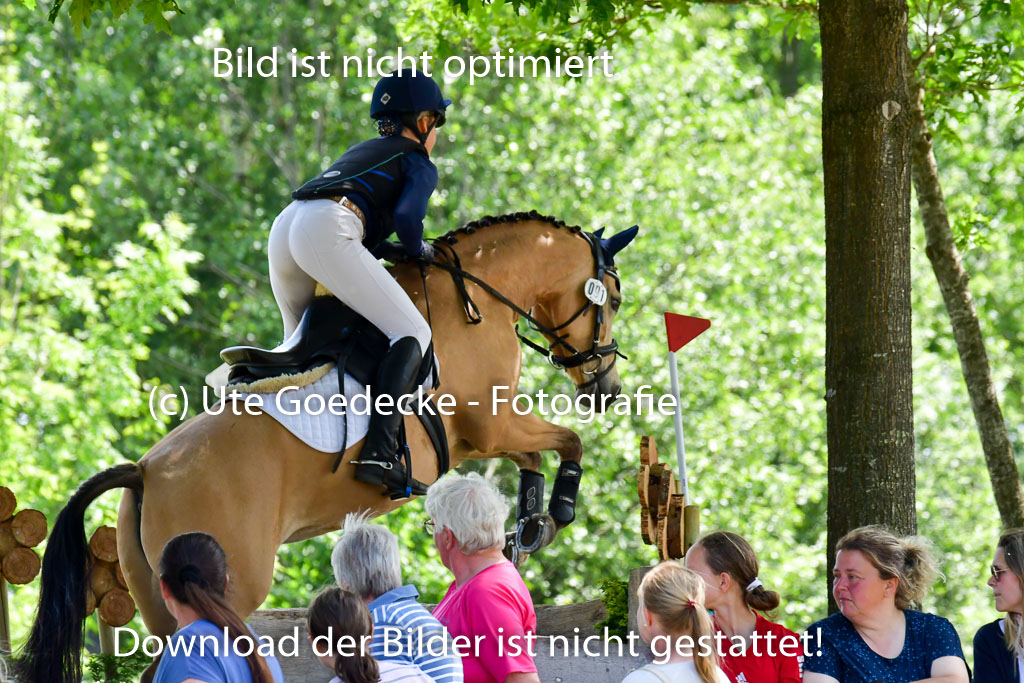 Goldene Schärpe Ponys in Löningen  4+5.6.22 | 04062022 - Gelände  2 Abt _118 