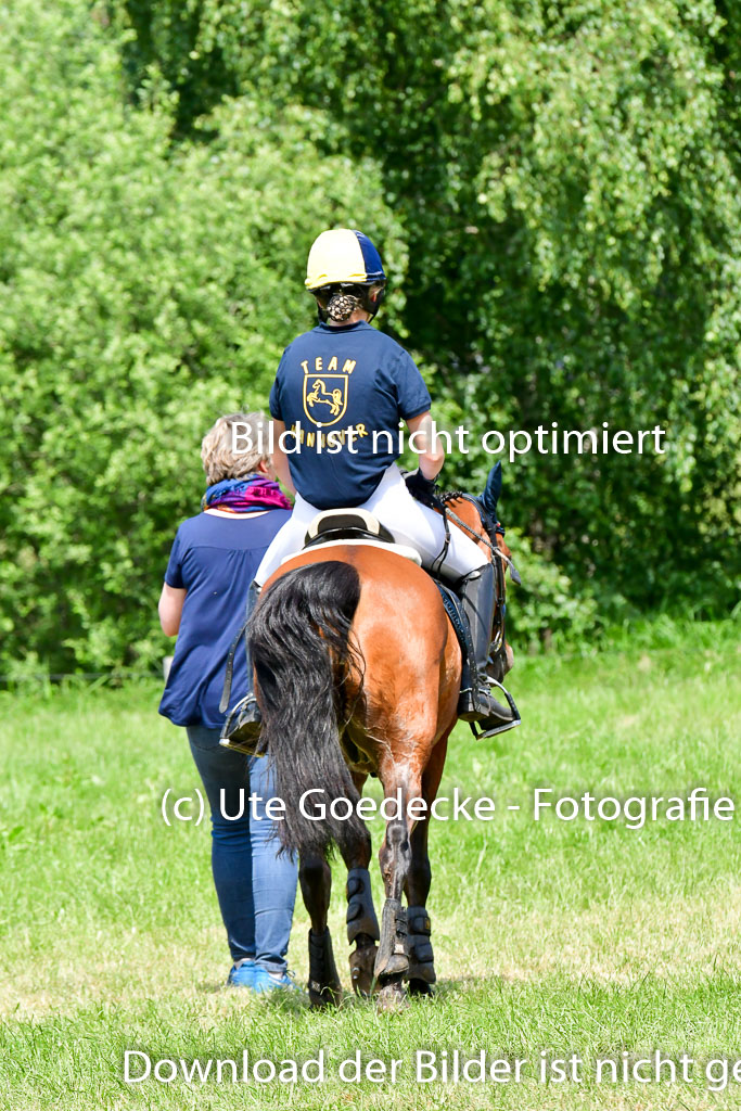 Goldene Schärpe Ponys in Löningen  4+5.6.22 | 04062022 - Gelände  2 Abt _119 