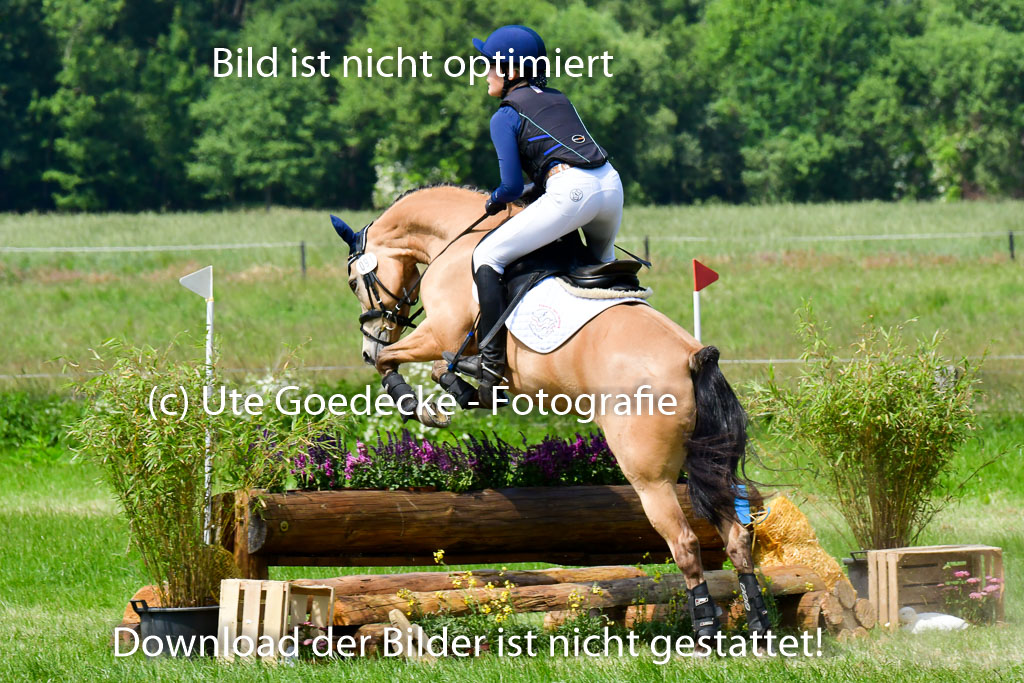 Goldene Schärpe Ponys in Löningen  4+5.6.22 | 04062022 - Gelände  2 Abt _120 