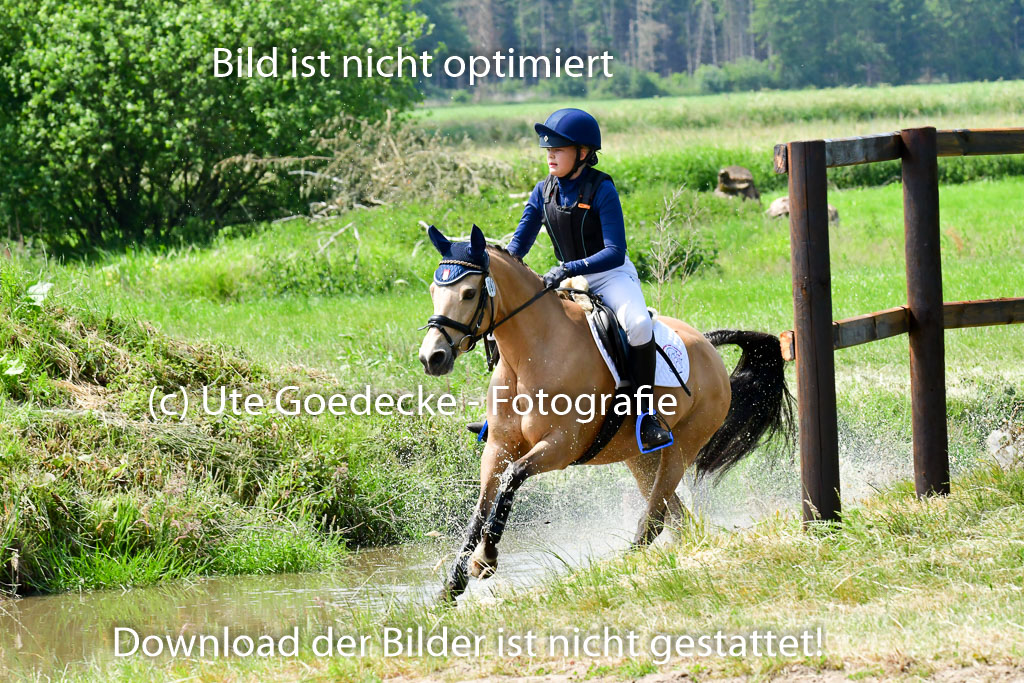 Goldene Schärpe Ponys in Löningen  4+5.6.22 | 04062022 - Gelände  2 Abt _121 