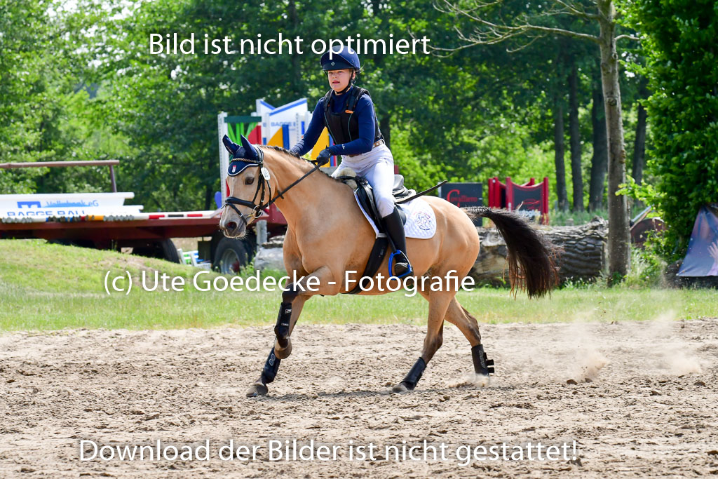 Goldene Schärpe Ponys in Löningen  4+5.6.22 | 04062022 - Gelände  2 Abt _125 