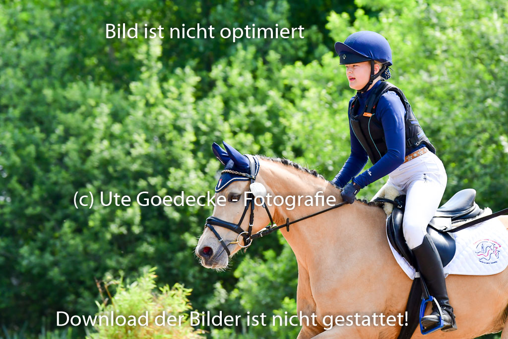 Goldene Schärpe Ponys in Löningen  4+5.6.22 | 04062022 - Gelände  2 Abt _126 