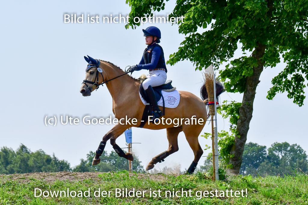 Goldene Schärpe Ponys in Löningen  4+5.6.22 | 04062022 - Gelände  2 Abt _127 