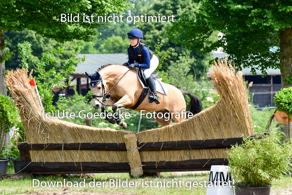 Goldene Schärpe Ponys in Löningen  4+5.6.22 | 04062022 - Gelände  2 Abt _130 