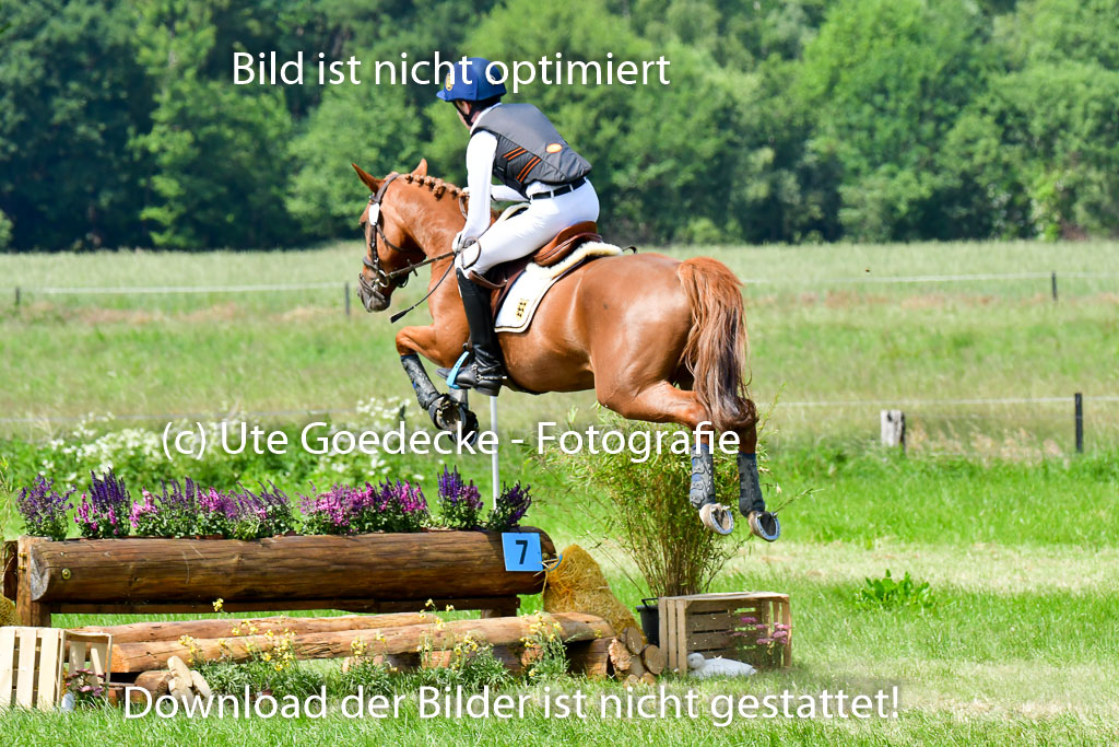 Goldene Schärpe Ponys in Löningen  4+5.6.22 | 04062022 - Gelände  2 Abt _142 