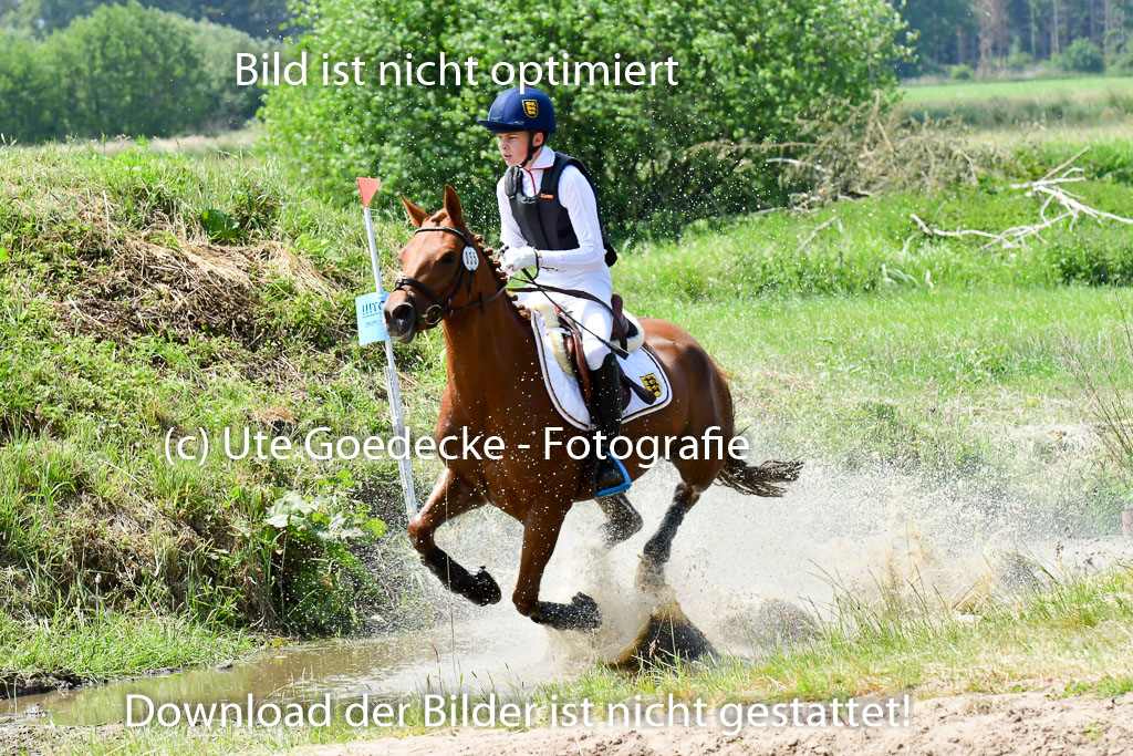 Goldene Schärpe Ponys in Löningen  4+5.6.22 | 04062022 - Gelände  2 Abt _144 
