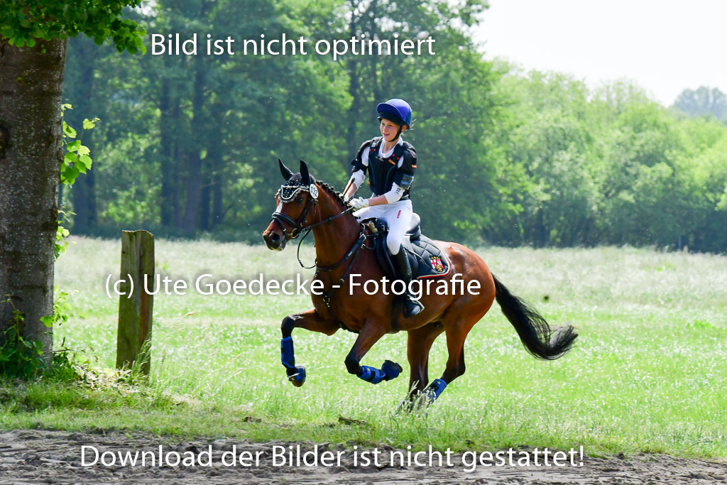 Goldene Schärpe Ponys in Löningen  4+5.6.22 | 04062022 - Gelände  2 Abt _156 