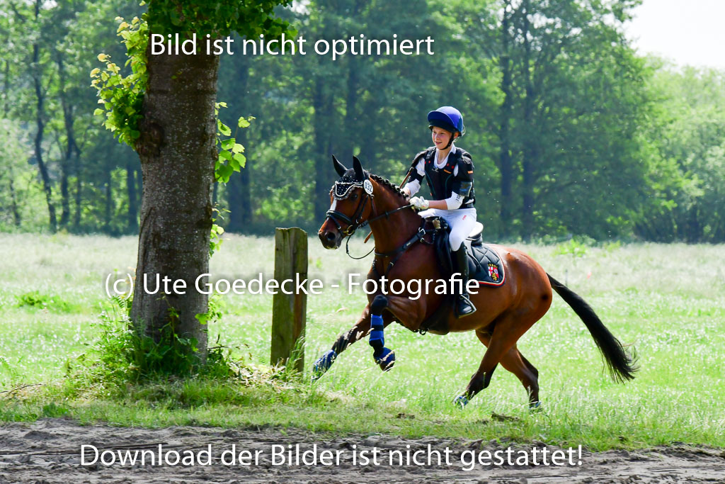 Goldene Schärpe Ponys in Löningen  4+5.6.22 | 04062022 - Gelände  2 Abt _157 