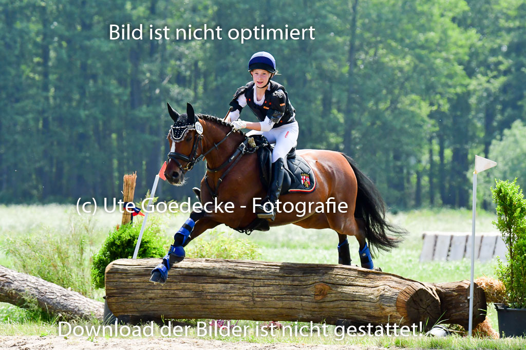 Goldene Schärpe Ponys in Löningen  4+5.6.22 | 04062022 - Gelände  2 Abt _159 