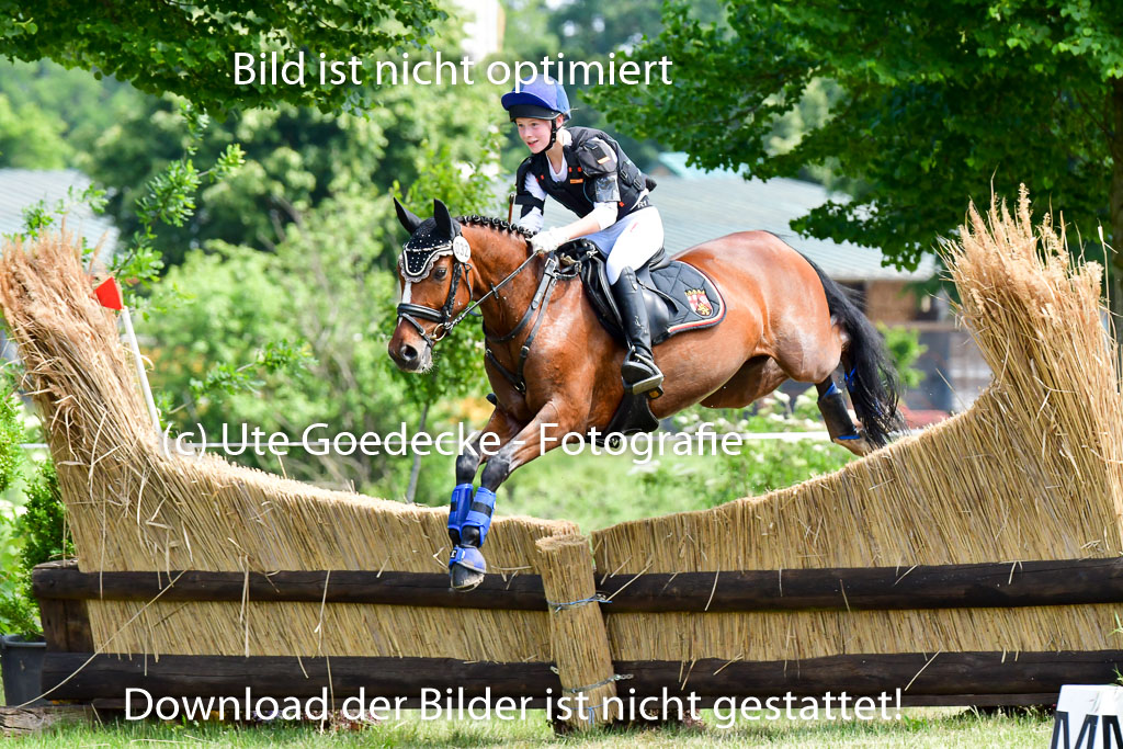 Goldene Schärpe Ponys in Löningen  4+5.6.22 | 04062022 - Gelände  2 Abt _166 