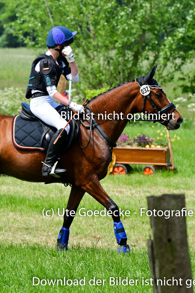 Goldene Schärpe Ponys in Löningen  4+5.6.22 | 04062022 - Gelände  2 Abt _181 