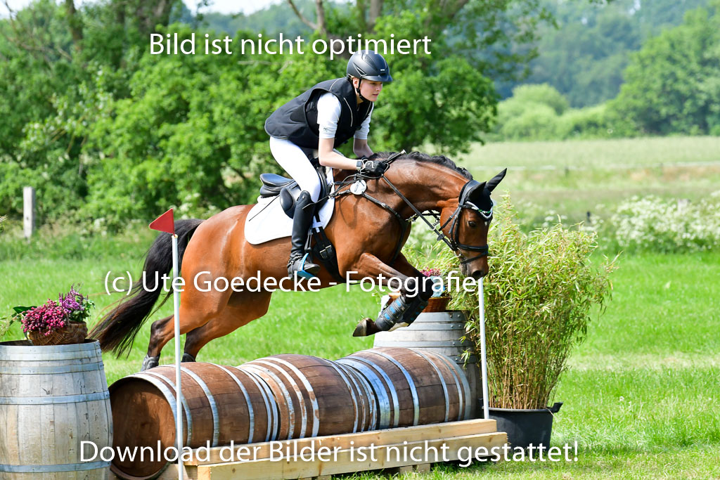 Goldene Schärpe Ponys in Löningen  4+5.6.22 | 04062022 - Gelände  2 Abt _184 