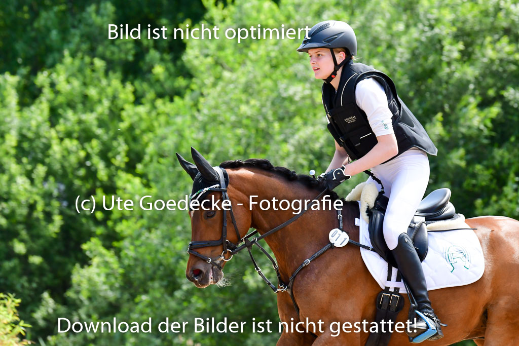 Goldene Schärpe Ponys in Löningen  4+5.6.22 | 04062022 - Gelände  2 Abt _194 