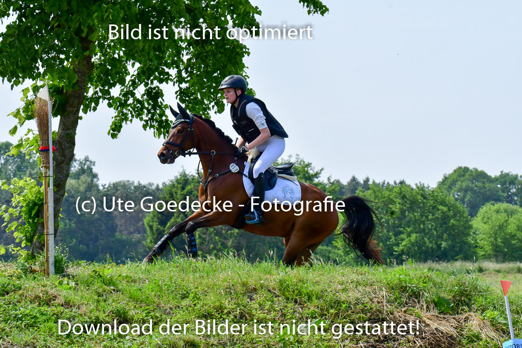 Goldene Schärpe Ponys in Löningen  4+5.6.22 | 04062022 - Gelände  2 Abt _196 