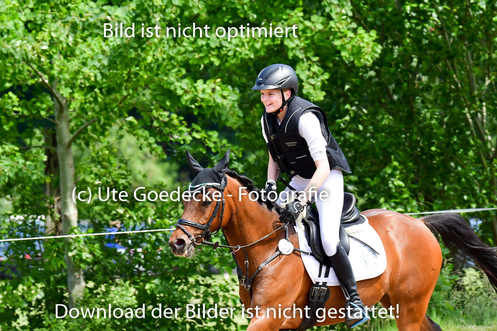 Goldene Schärpe Ponys in Löningen  4+5.6.22 | 04062022 - Gelände  2 Abt _200 