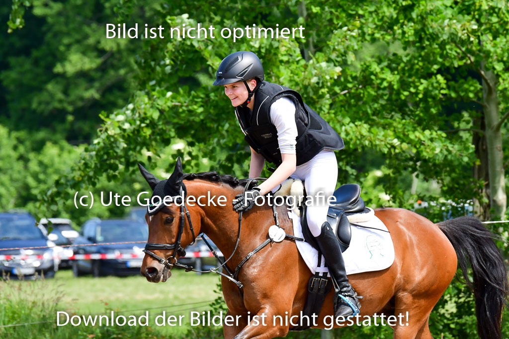 Goldene Schärpe Ponys in Löningen  4+5.6.22 | 04062022 - Gelände  2 Abt _201 