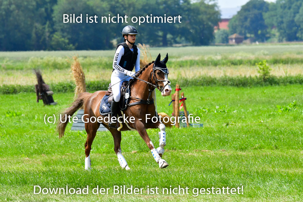 Goldene Schärpe Ponys in Löningen  4+5.6.22 | 04062022 - Gelände  2 Abt _203 