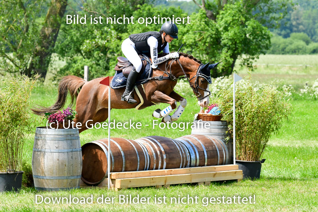 Goldene Schärpe Ponys in Löningen  4+5.6.22 | 04062022 - Gelände  2 Abt _204 