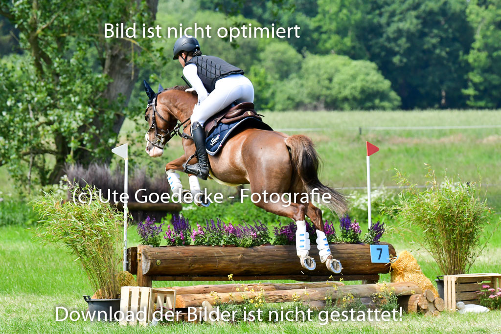 Goldene Schärpe Ponys in Löningen  4+5.6.22 | 04062022 - Gelände  2 Abt _206 