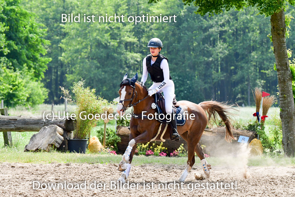 Goldene Schärpe Ponys in Löningen  4+5.6.22 | 04062022 - Gelände  2 Abt _210 