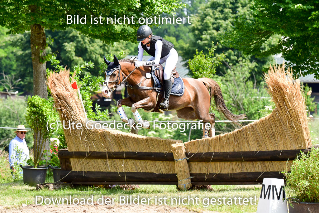 Goldene Schärpe Ponys in Löningen  4+5.6.22 | 04062022 - Gelände  2 Abt _215 