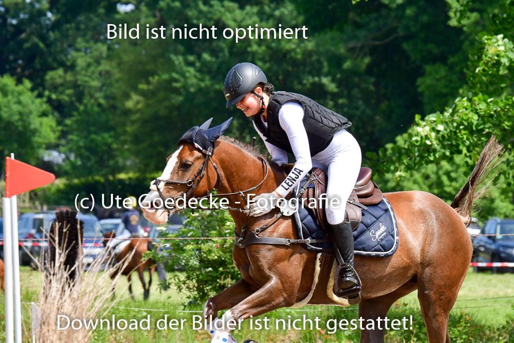 Goldene Schärpe Ponys in Löningen  4+5.6.22 | 04062022 - Gelände  2 Abt _217 