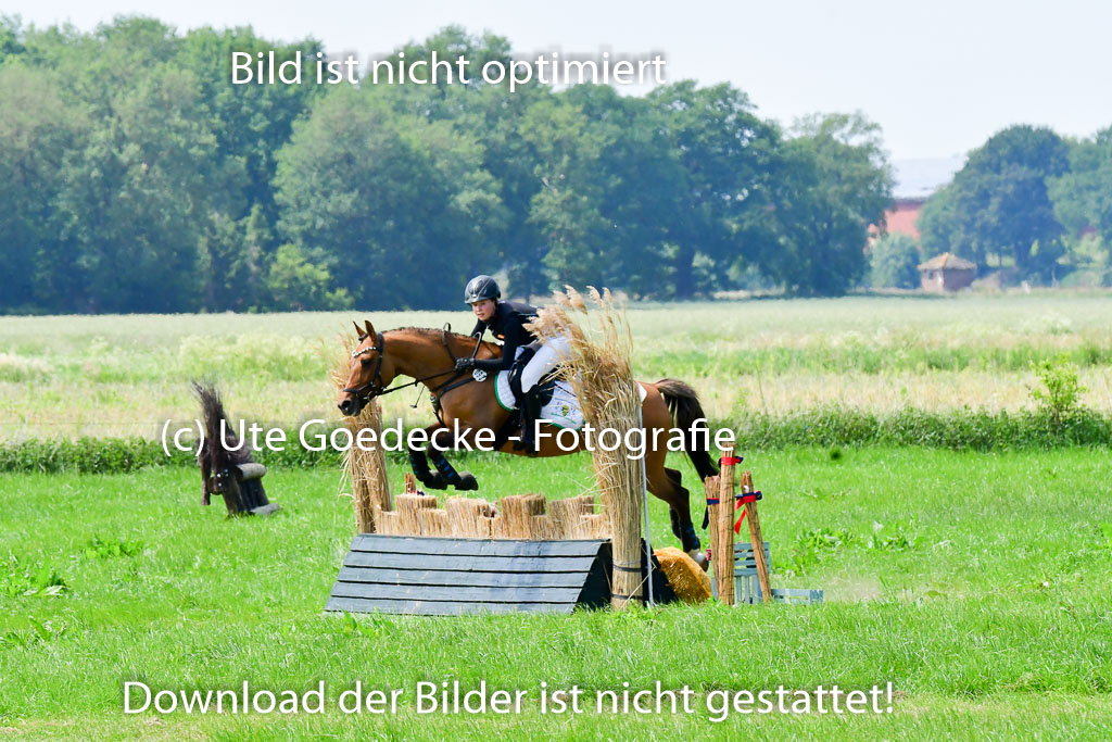 Goldene Schärpe Ponys in Löningen  4+5.6.22 | 04062022 - Gelände  2 Abt _219 
