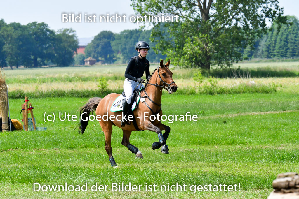 Goldene Schärpe Ponys in Löningen  4+5.6.22 | 04062022 - Gelände  2 Abt _220 