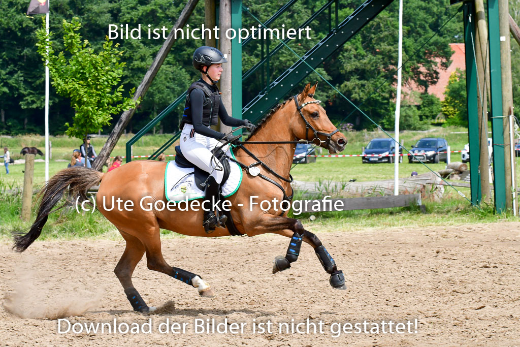 Goldene Schärpe Ponys in Löningen  4+5.6.22 | 04062022 - Gelände  2 Abt _222 