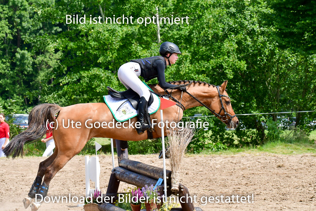 Goldene Schärpe Ponys in Löningen  4+5.6.22 | 04062022 - Gelände  2 Abt _223 