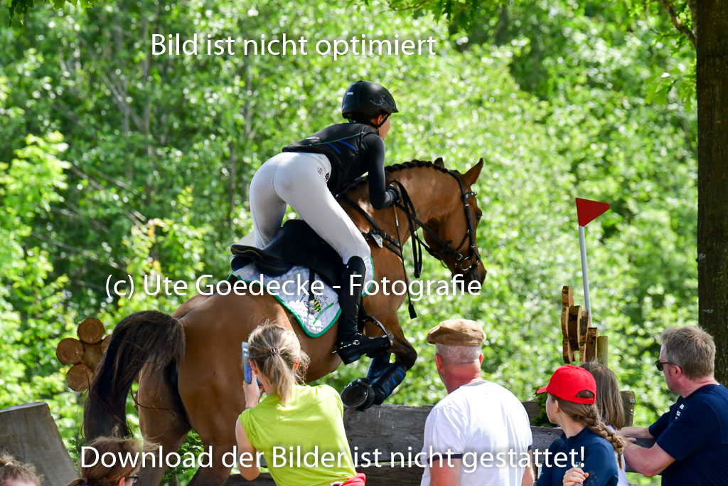 Goldene Schärpe Ponys in Löningen  4+5.6.22 | 04062022 - Gelände  2 Abt _224 