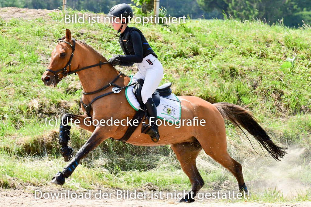 Goldene Schärpe Ponys in Löningen  4+5.6.22 | 04062022 - Gelände  2 Abt _227 