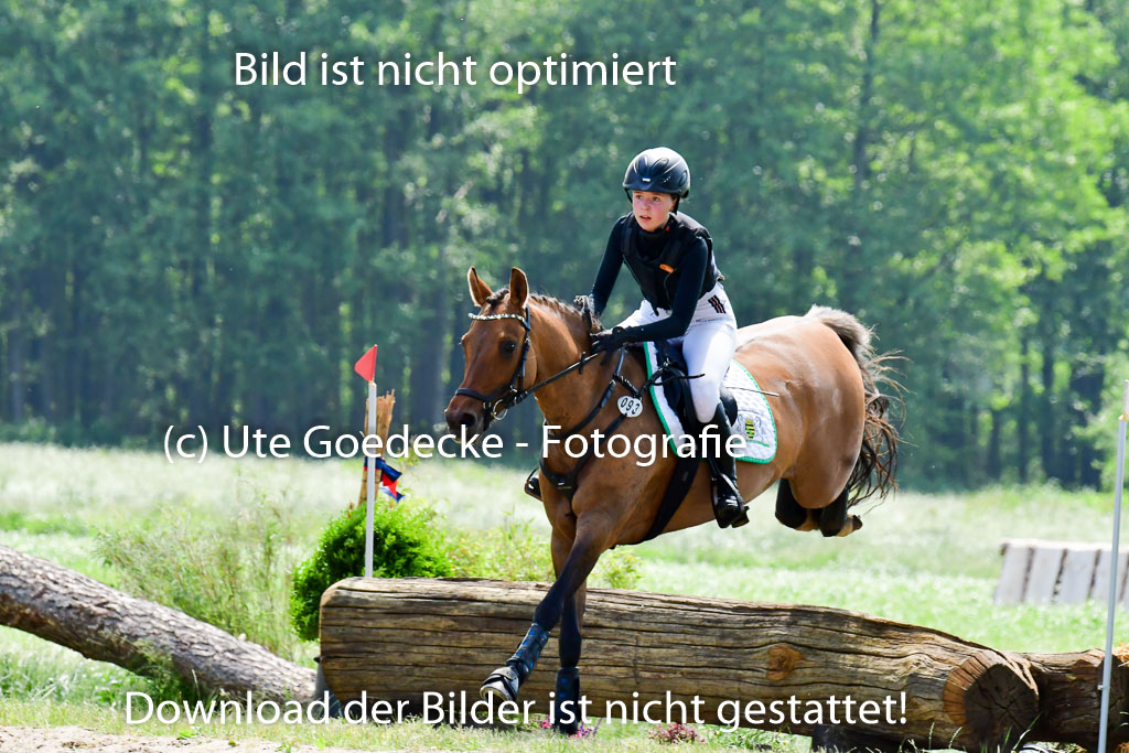 Goldene Schärpe Ponys in Löningen  4+5.6.22 | 04062022 - Gelände  2 Abt _229 