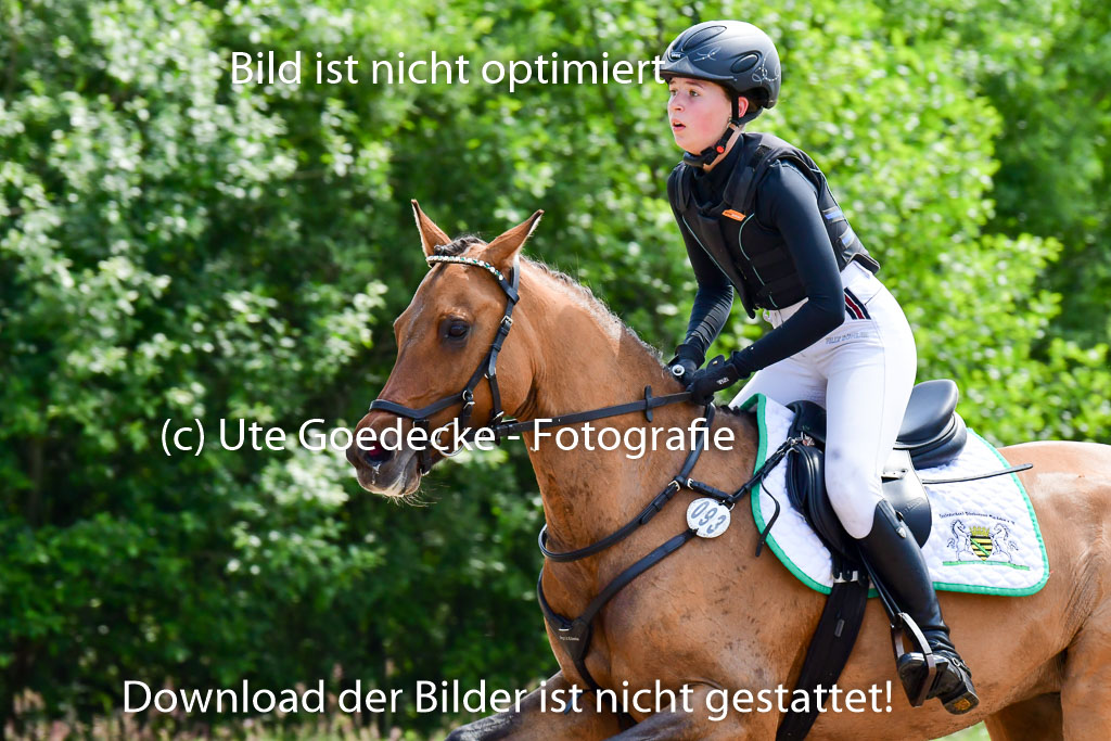 Goldene Schärpe Ponys in Löningen  4+5.6.22 | 04062022 - Gelände  2 Abt _232 