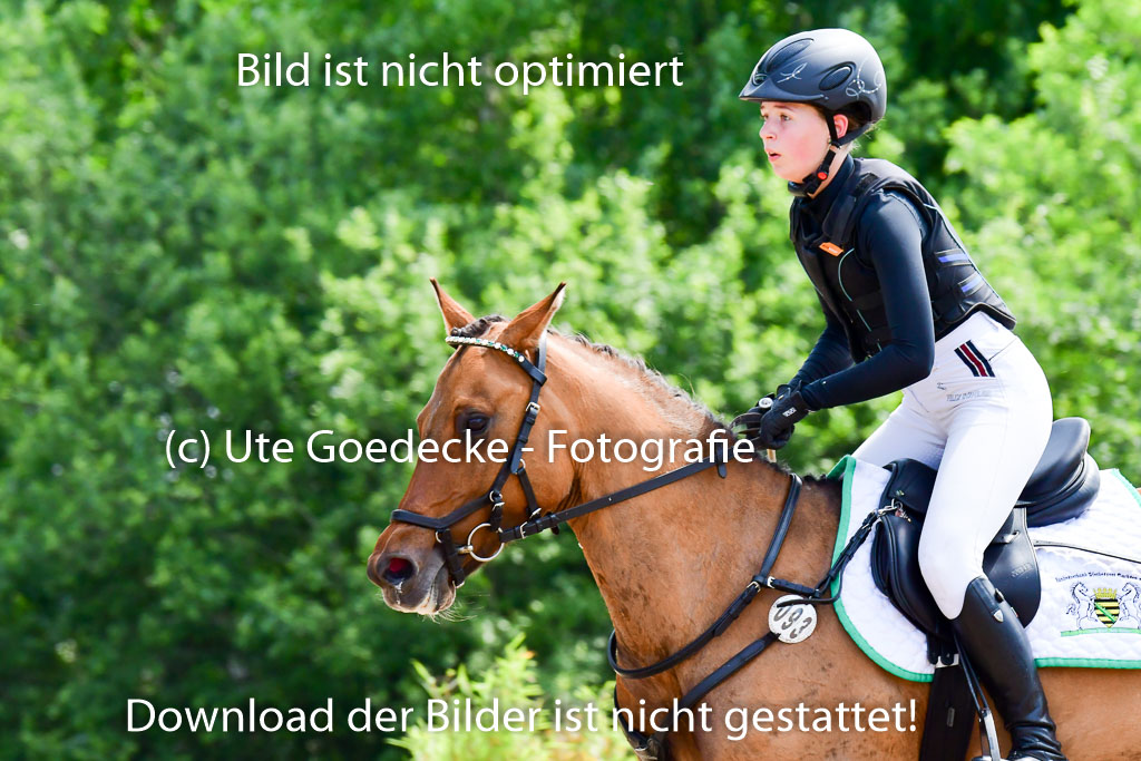 Goldene Schärpe Ponys in Löningen  4+5.6.22 | 04062022 - Gelände  2 Abt _233 