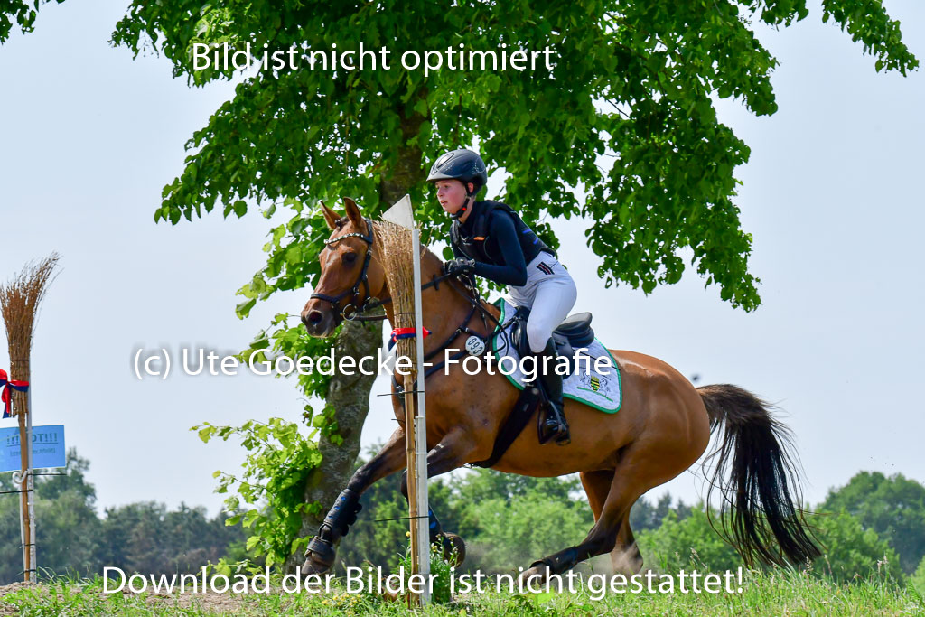 Goldene Schärpe Ponys in Löningen  4+5.6.22 | 04062022 - Gelände  2 Abt _235 