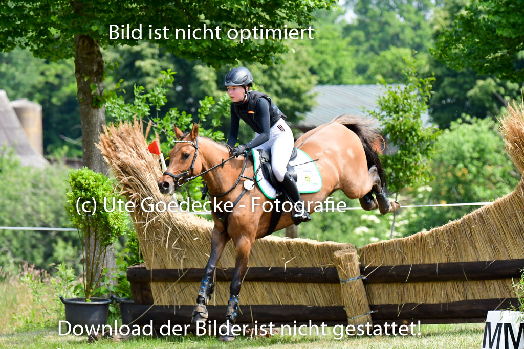 Goldene Schärpe Ponys in Löningen  4+5.6.22 | 04062022 - Gelände  2 Abt _237 