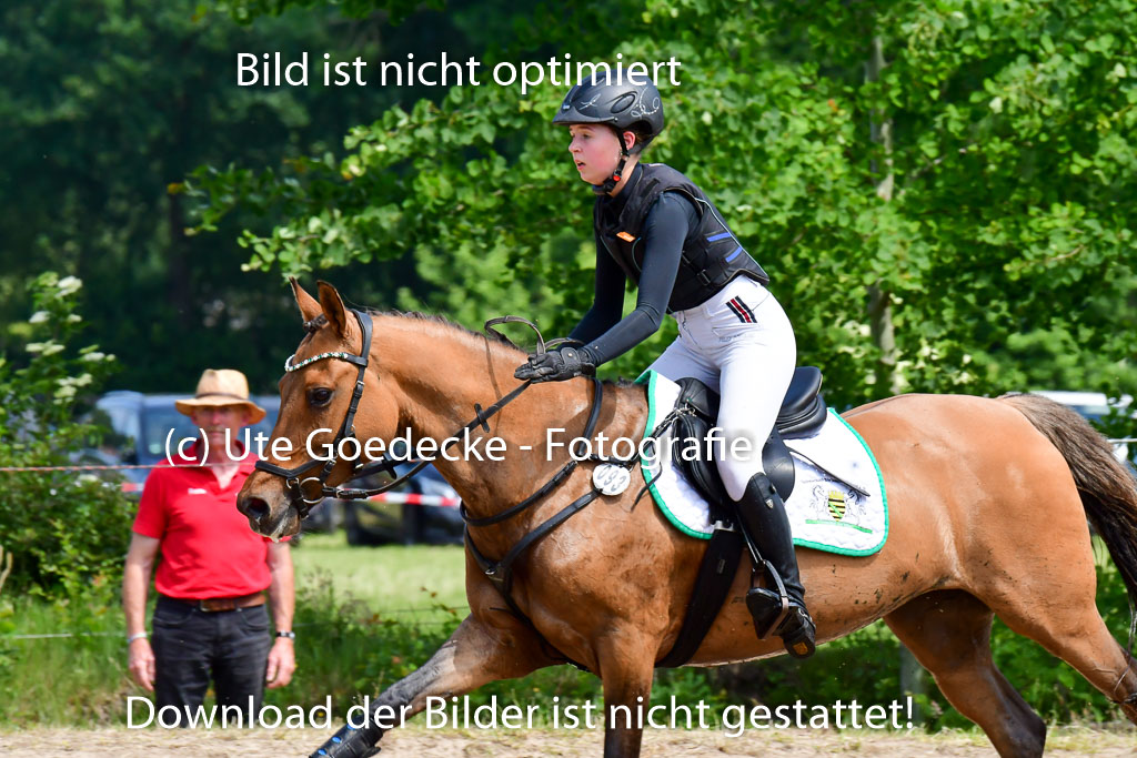 Goldene Schärpe Ponys in Löningen  4+5.6.22 | 04062022 - Gelände  2 Abt _238 