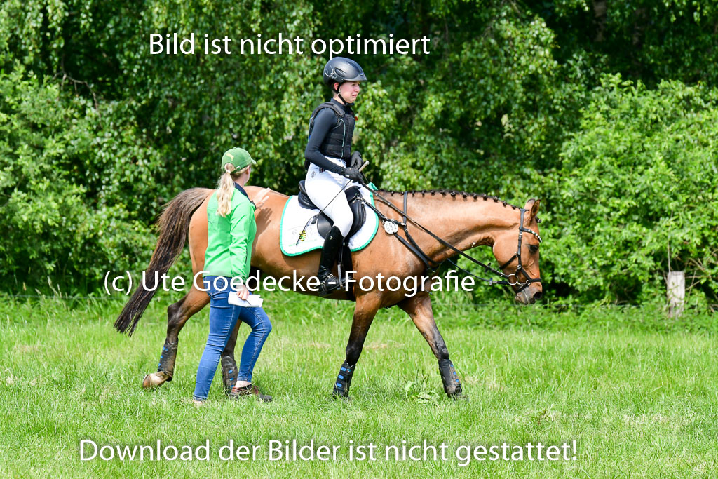 Goldene Schärpe Ponys in Löningen  4+5.6.22 | 04062022 - Gelände  2 Abt _239 