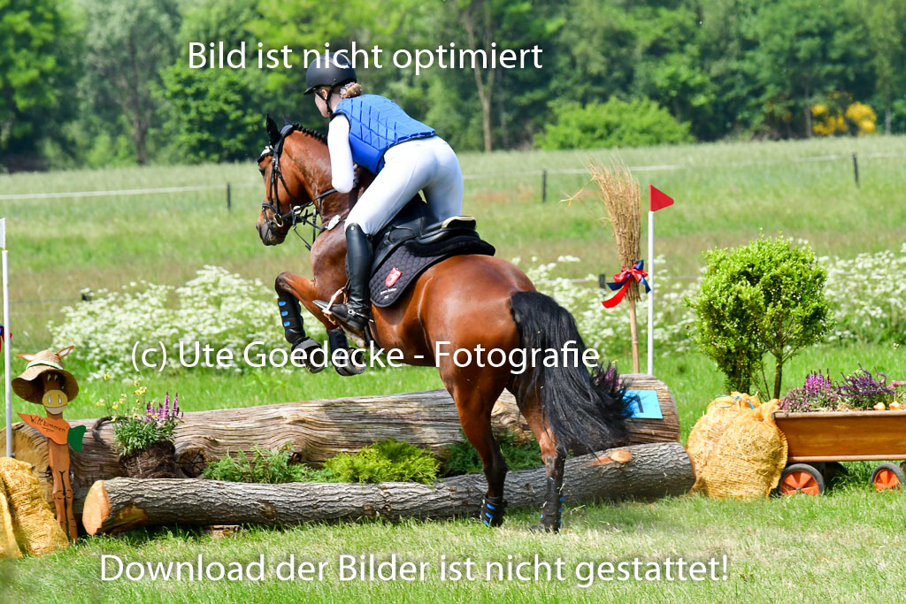 Goldene Schärpe Ponys in Löningen  4+5.6.22 | 04062022 - Gelände  2 Abt _240 