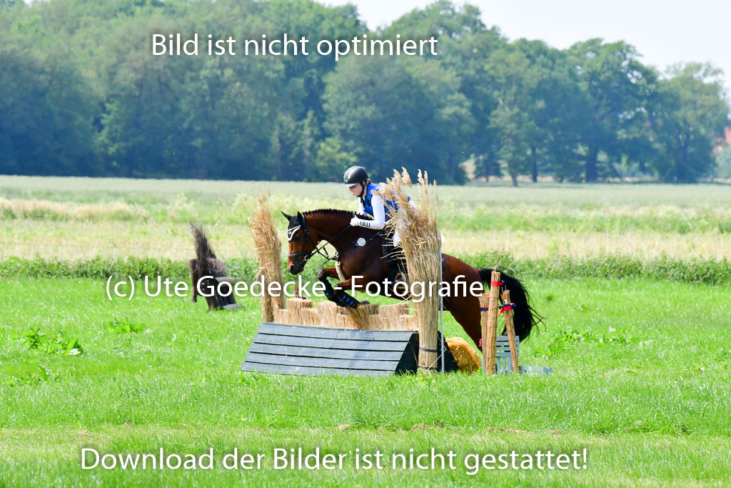 Goldene Schärpe Ponys in Löningen  4+5.6.22 | 04062022 - Gelände  2 Abt _242 
