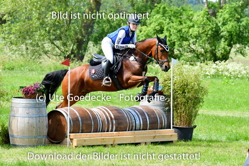 Goldene Schärpe Ponys in Löningen  4+5.6.22 | 04062022 - Gelände  2 Abt _244 