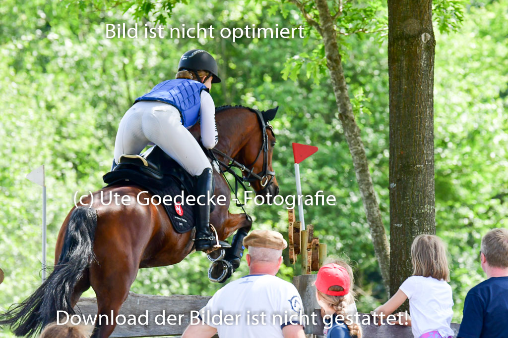 Goldene Schärpe Ponys in Löningen  4+5.6.22 | 04062022 - Gelände  2 Abt _246 