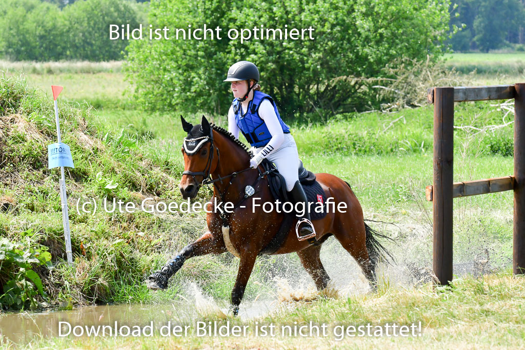 Goldene Schärpe Ponys in Löningen  4+5.6.22 | 04062022 - Gelände  2 Abt _248 