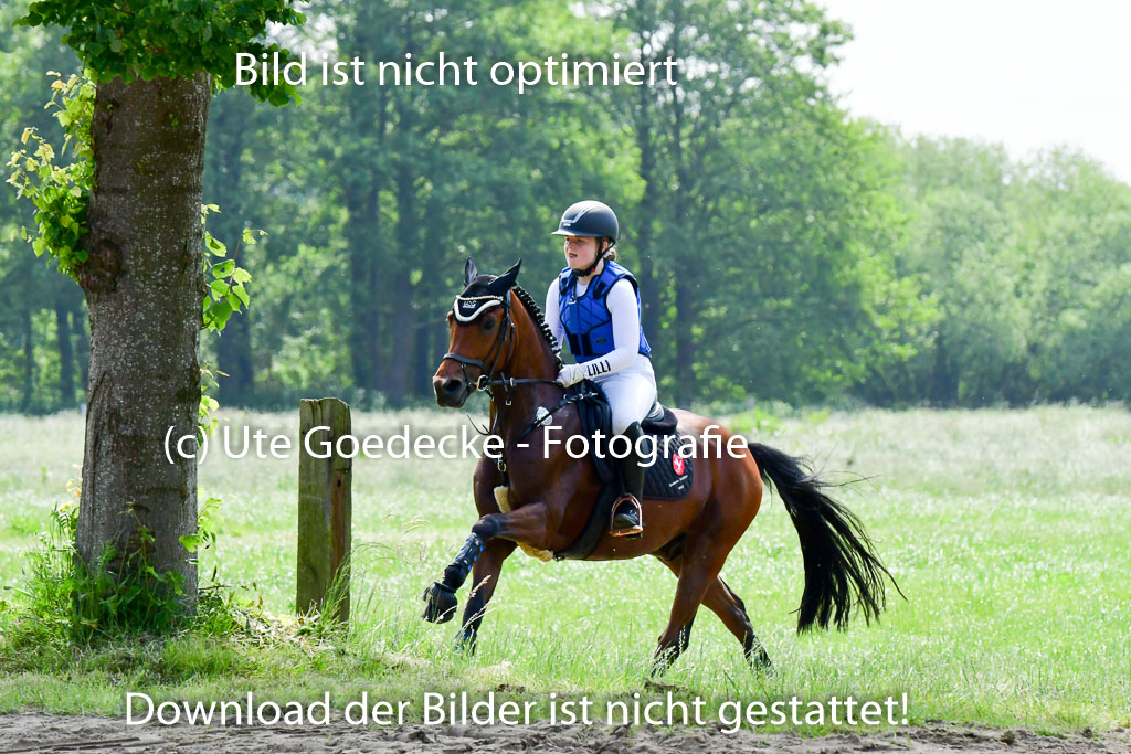 Goldene Schärpe Ponys in Löningen  4+5.6.22 | 04062022 - Gelände  2 Abt _249 