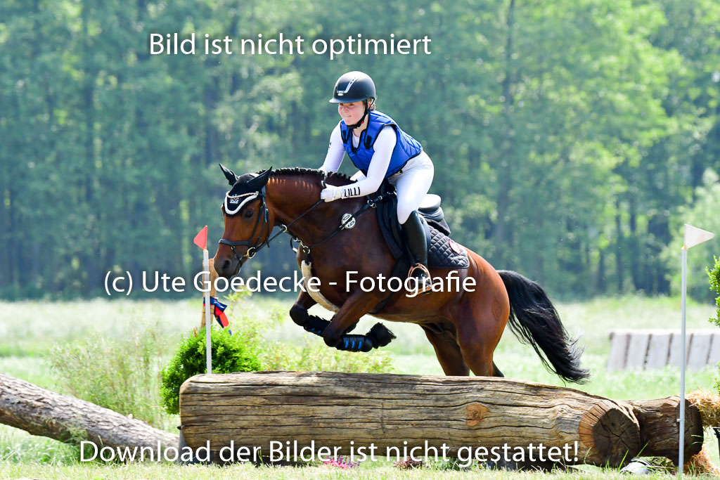 Goldene Schärpe Ponys in Löningen  4+5.6.22 | 04062022 - Gelände  2 Abt _250 