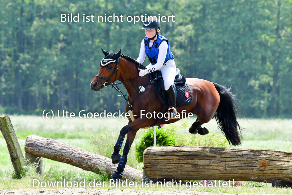 Goldene Schärpe Ponys in Löningen  4+5.6.22 | 04062022 - Gelände  2 Abt _251 