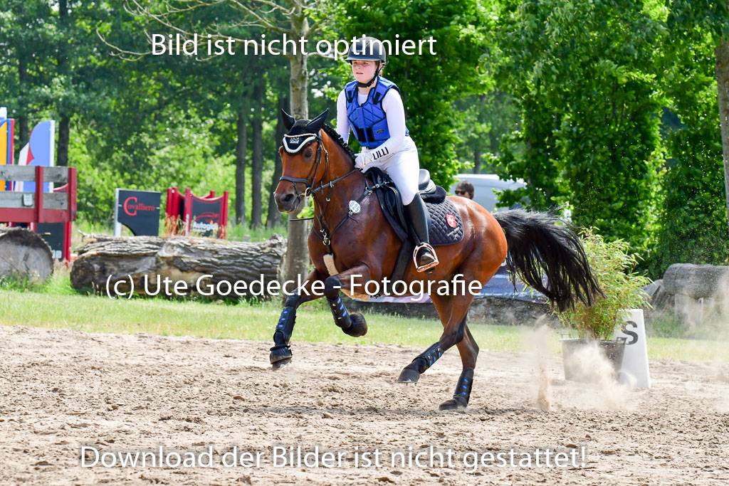 Goldene Schärpe Ponys in Löningen  4+5.6.22 | 04062022 - Gelände  2 Abt _252 
