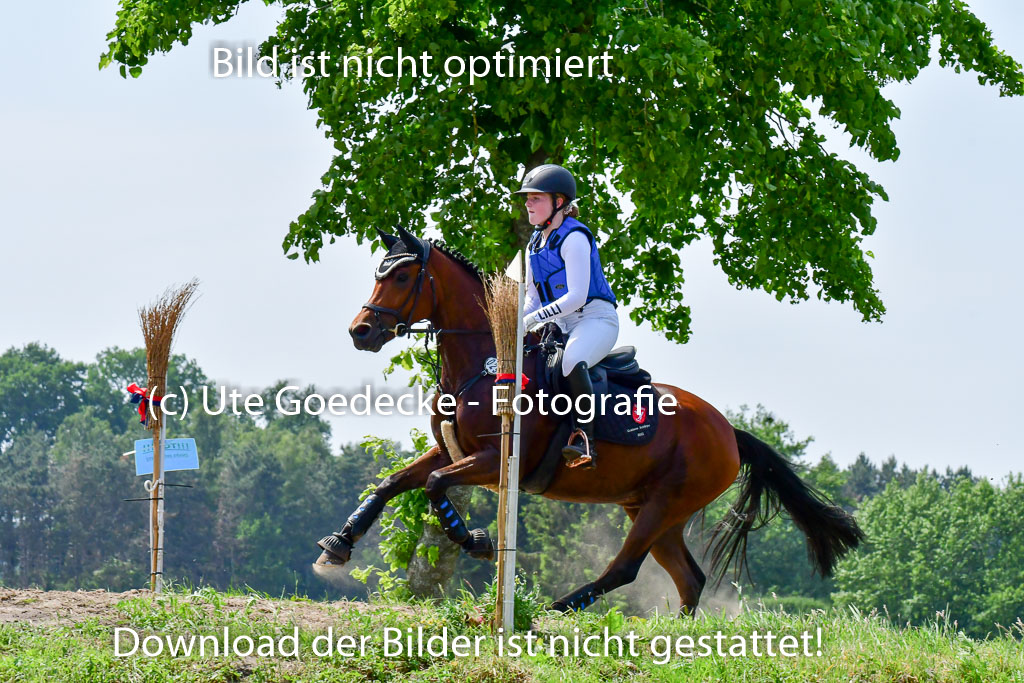 Goldene Schärpe Ponys in Löningen  4+5.6.22 | 04062022 - Gelände  2 Abt _254 